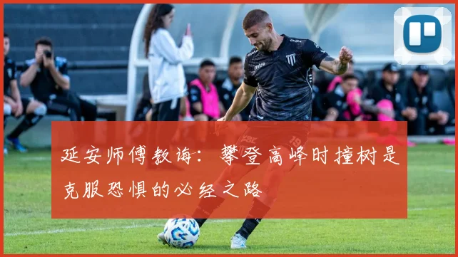 延安师傅教诲：攀登高峰时撞树是克服恐惧的必经之路
