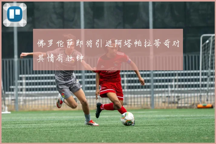 佛罗伦萨即将引进阿塔帕拉蒂奇对其情有独钟