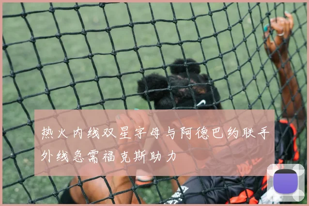 热火内线双星字母与阿德巴约联手外线急需福克斯助力