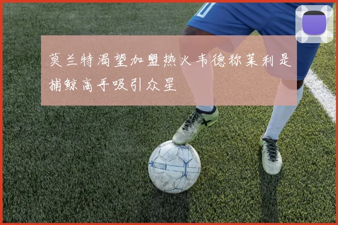 莫兰特渴望加盟热火韦德称莱利是捕鲸高手吸引众星